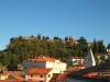 CIMG1688_2.JPG