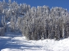 17_Winterimpressionen