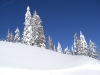 19_Winterimpressionen