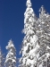 20_Winterimpressionen